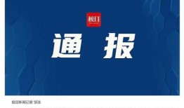 湖北爆料事件最新进展,真相逐步浮出水面