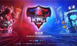 新龙小丑爆料视频大全,揭秘幕后真相与精彩瞬间